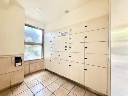 ̑ oɕ֗AłSȑzBOXI