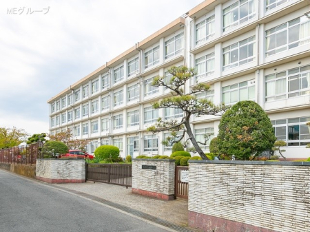 ӊ wZ 341m ˎsڒwZ