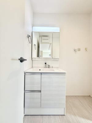 ���ʑ�E���ʏ� �������������Ő������̂�����ʏ�