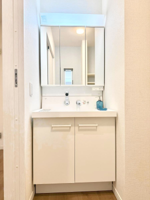 ���ʑ�E���ʏ� �������������Ő������̂�����ʏ�