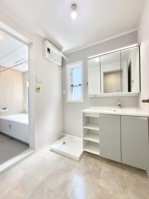 ���ʑ�E���ʏ� ���������̏������X���[�Y�ɂł���L���ł�