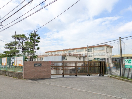 ���ӊ� ���w�Z 1100m ������s�����ђ��w�Z