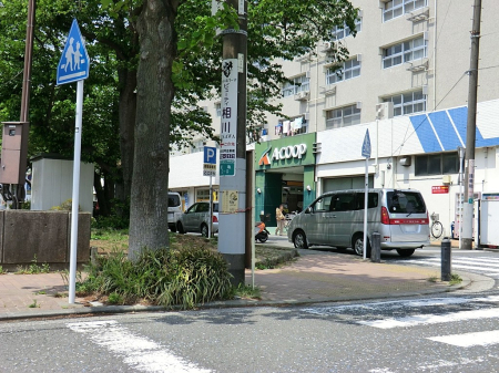 ӊ w 560m }dSu򕶌Ɂvw