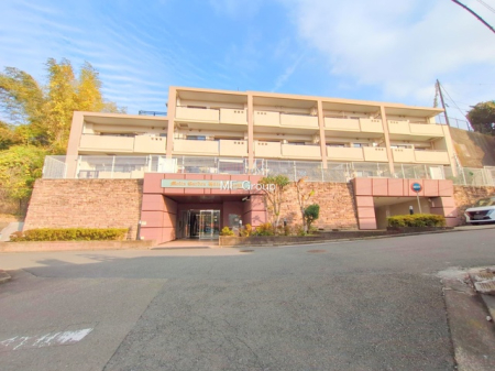 ���n�O�ώʐ^ ���܂��͈�x������������