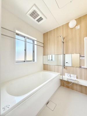 ���� �����������������F�����̕ǖʁA������芰����o�X���[��