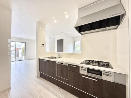 ���̑� ����