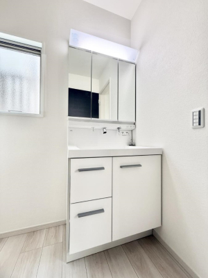 ���ʑ�E���ʏ� ���������̏������X���[�Y�ɂł���L���ł�