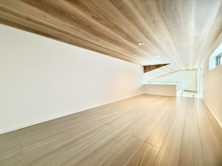 ���̑� ������+���̃X�y�[�X�I���t�g�t���I  