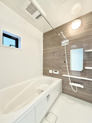 ���� �����������������F�����̕ǖʁA������芰����o�X���[��