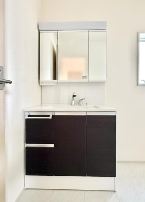 ���ʑ�E���ʏ� ���������̏������X���[�Y�ɂł���L���ł�