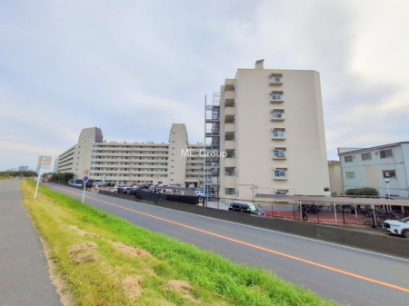 ���n�O�ώʐ^ �O�ρ��V�����Z�܂��A�X�̐V�������i