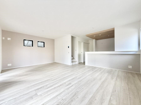 ���̑����� �������������������A���S�n�̂������r���O