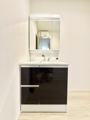 ���ʑ�E���ʏ� �������������Ő������̂�����ʏ�