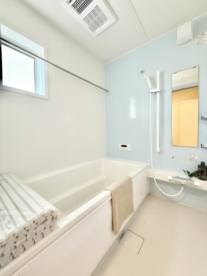 ���� �����������������F�����̕ǖʁA������芰����o�X���[��