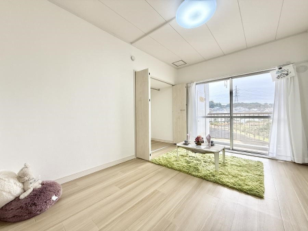 ���̑����� ����