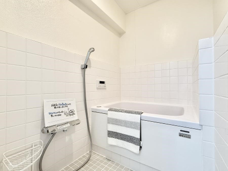 ���� ����