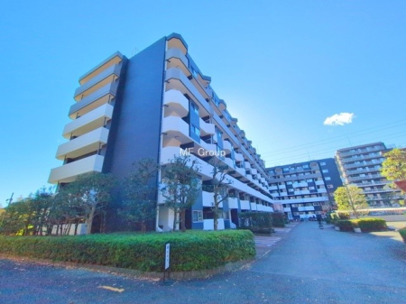 ���n�O�ώʐ^ �O�ρ��V�����Z�܂��A�X�̐V�������i