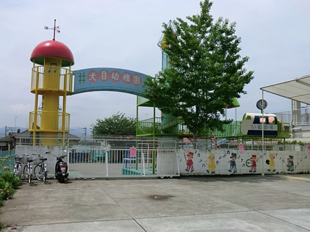 ���ӊ� �c�t���E�ۈ牀 1800m ���ڗc�t��