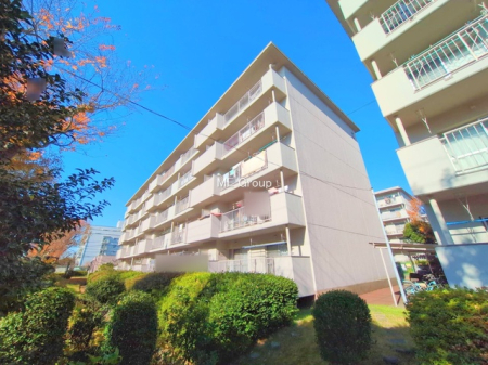 ���n�O�ώʐ^ ���V������炵���n�܂�ꏊ�ŁA�Ƒ����J��[�߂�