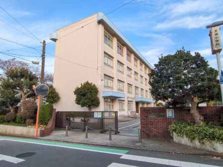 ���ӊ� ���w�Z 950m ����s���V�_���w�Z