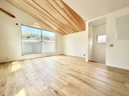 ���̑����� ����