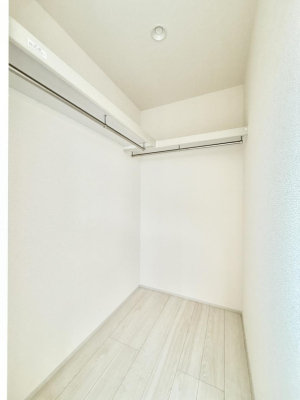 ���̑� ����