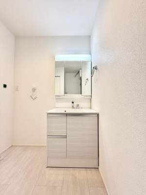 ���ʑ�E���ʏ� ���������̏������X���[�Y�ɂł���L���ł�