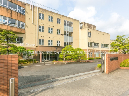 ���ӊ� ���w�Z 500m ���s���`�����w�Z