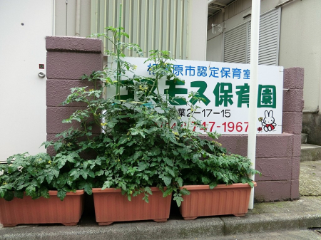 ���ӊ� �c�t���E�ۈ牀 400m �R�X���X�ۈ牀