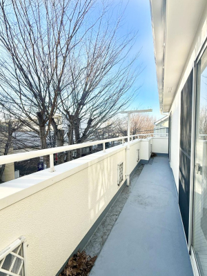 �o���R�j�[ ������ ���̃R�[�q�[���̐�����y���ށA�����̏ꏊ