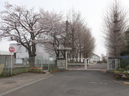 ���ӊ� ���w�Z 800m �����s���������w�Z