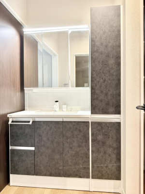 ���ʑ�E���ʏ� ���������̏������X���[�Y�ɂł���L���ł�