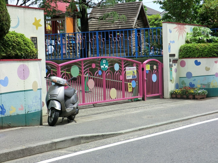 ���ӊ� �c�t���E�ۈ牀 1700m �F�肱�ǂ����R����c�t��