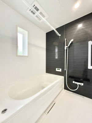 ���� ����