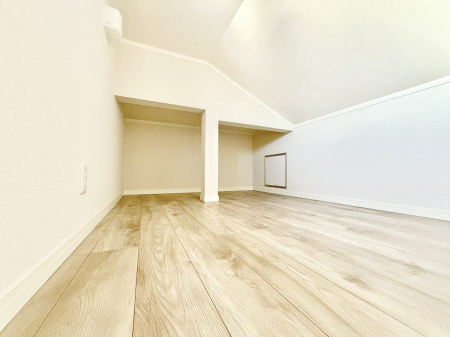 ���̑� �������L�����[�X�y�[�X�͂��ꂵ���ł���