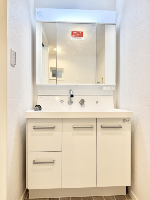 ���ʑ�E���ʏ� ���������̏������X���[�Y�ɂł���L���ł�