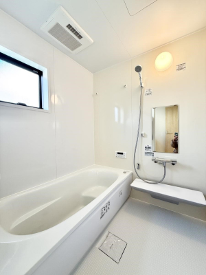 ���� ����