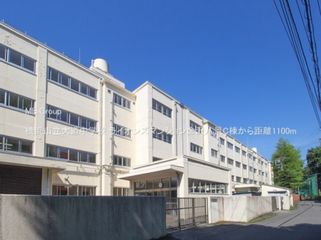 ���ӊ� ���w�Z 1100m ���l�s���哹���w�Z