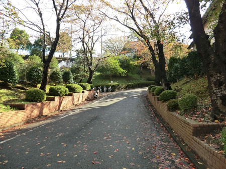 ���ӊ� ���w�Z 630m ���l�s���V�c���w�Z