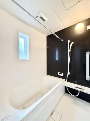 ���� �����������������F�����̕ǖʁA������芰����o�X���[��