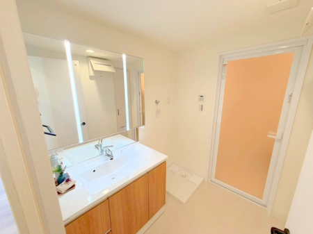 ���ʑ�E���ʏ� �������������Ő������̂�����ʏ�