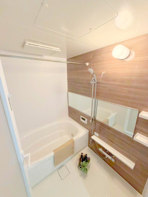 ���� �����������������F�����̕ǖʁA������芰����o�X���[��