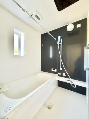 ���� �����������F�����̕ǖʁA�������A������芰����o�X���[���B  