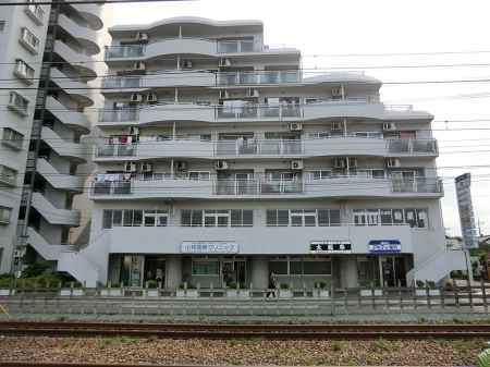 ���ӊ� �X�[�p�[ 800m �}���G�c�Ђ΂肪�u�X