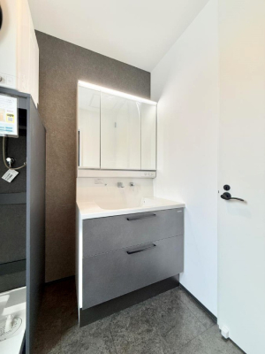 ���ʑ�E���ʏ� ���������̏������X���[�Y�ɂł���L���ł�