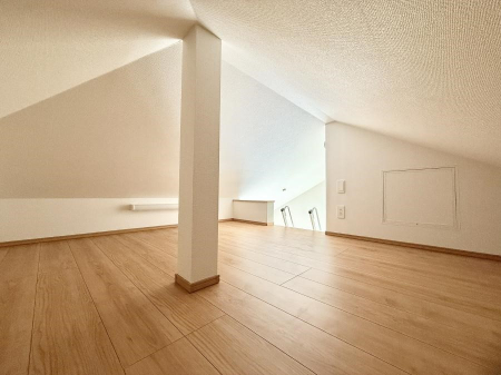 ���̑� ����