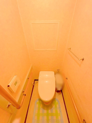 �g�C�� �����������g���ꏊ�����炱���A������������