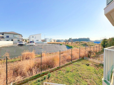 ���̑� ����