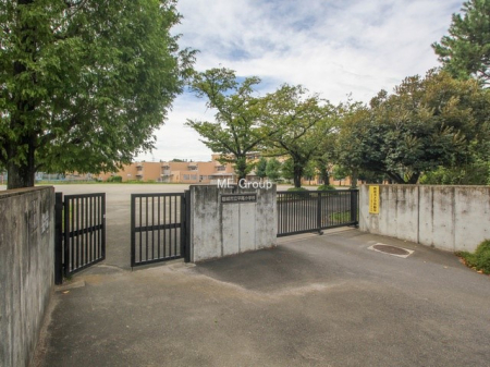 ���ӊ� ���w�Z 1000m ���s���������w�Z