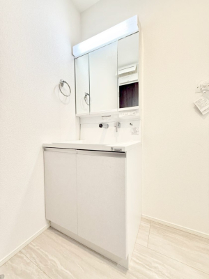 ���ʑ�E���ʏ� ���������̏������X���[�Y�ɂł���L���ł�